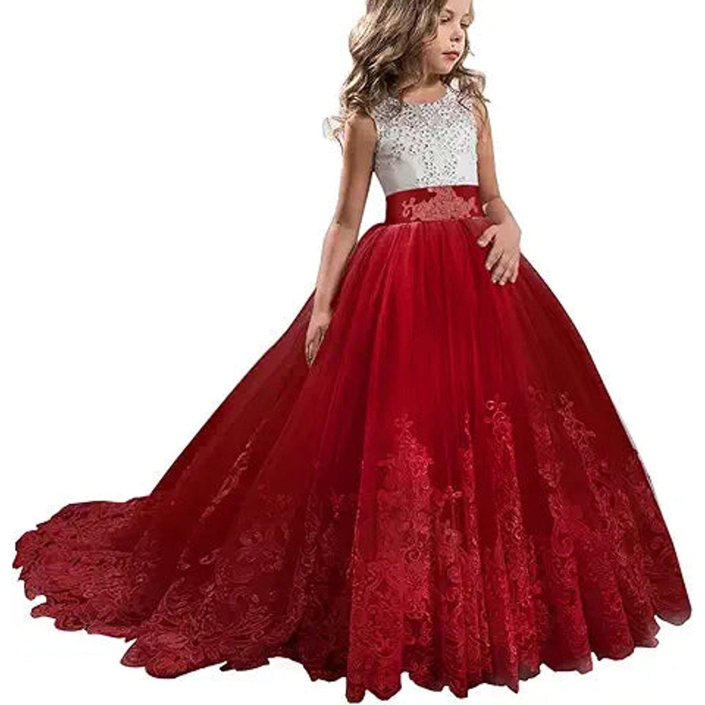 TTYAOVO Girls Embroidery Princess Dress Wedding Birthday Party Long Tail Prom Gowns Size(1