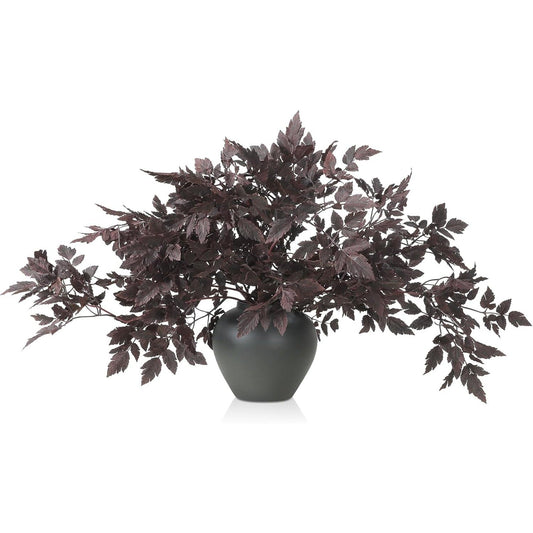 Lyrow 6 Pack Artificial Cimicifuga Plant Leaf Spray Faux Plum Cimicifuga Ramosa Leaf Branch Fall Cimicifuga Stems for Home Vase Table Wedding Farmhouse Mantel Harvest Decor (19.5 Inches,31 Inches)